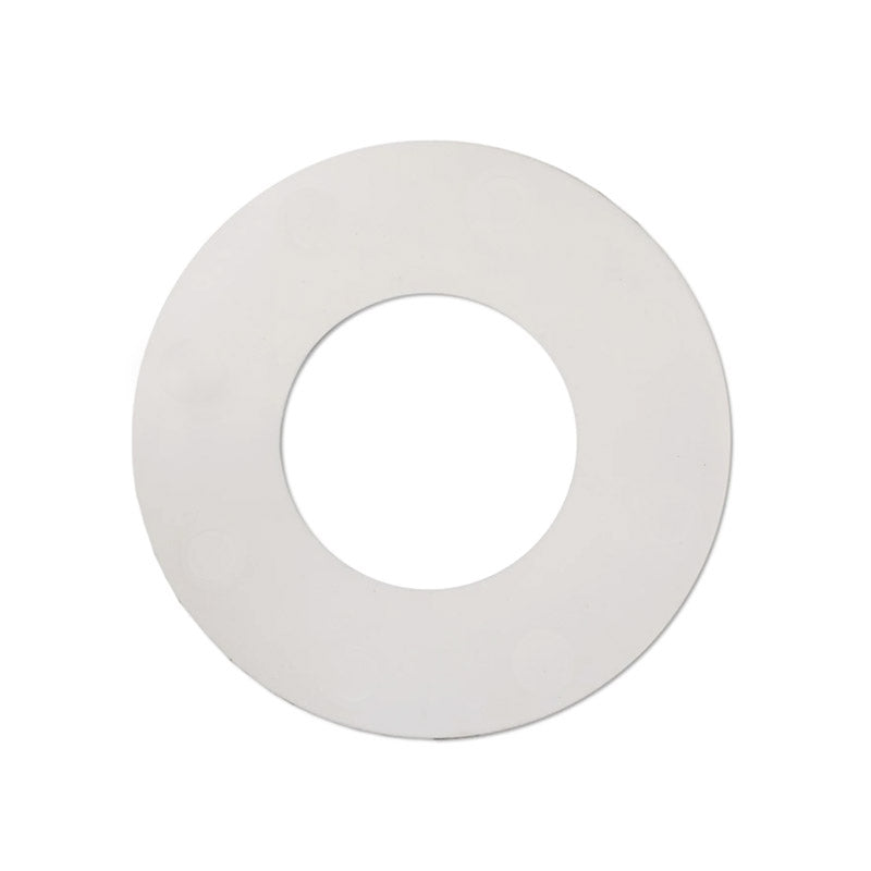 PTFE Rubber Gasket ANSI 300